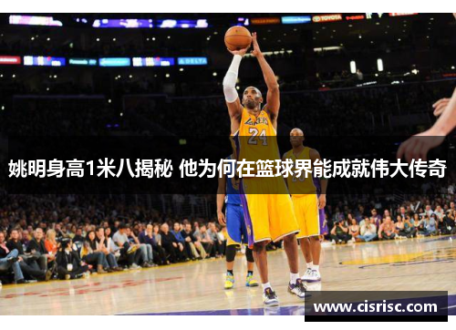 姚明身高1米八揭秘 他为何在篮球界能成就伟大传奇