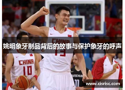 姚明象牙制品背后的故事与保护象牙的呼声