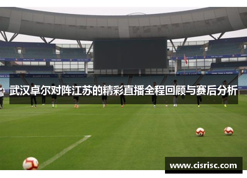 武汉卓尔对阵江苏的精彩直播全程回顾与赛后分析